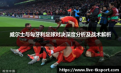 威尔士与匈牙利足球对决深度分析及战术解析