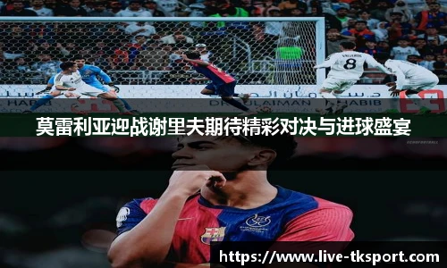 TK体育官网