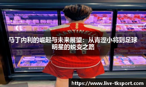 马丁内利的崛起与未来展望：从青涩小将到足球明星的蜕变之路